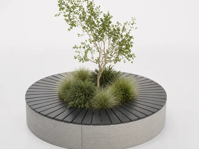 Curved Bench